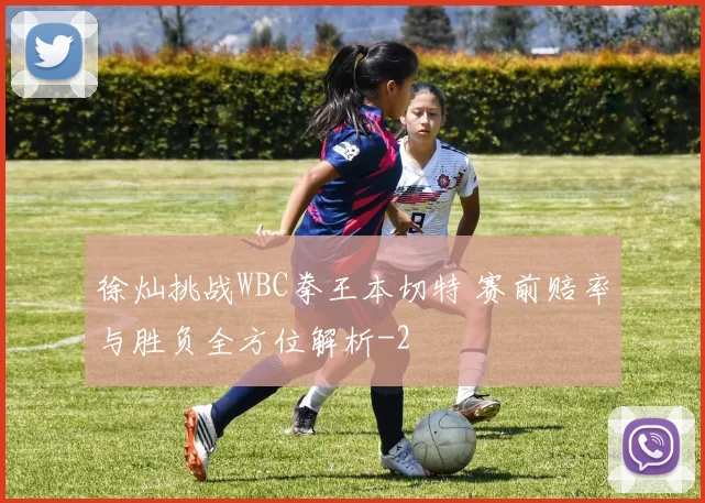 徐灿挑战WBC拳王本切特 赛前赔率与胜负全方位解析