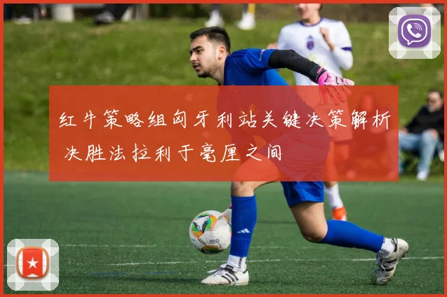 红牛策略组匈牙利站关键决策解析 决胜法拉利于毫厘之间