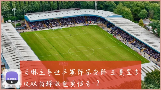 马琳主导世乒赛阵容变阵 王曼昱专攻双打释放重要信号