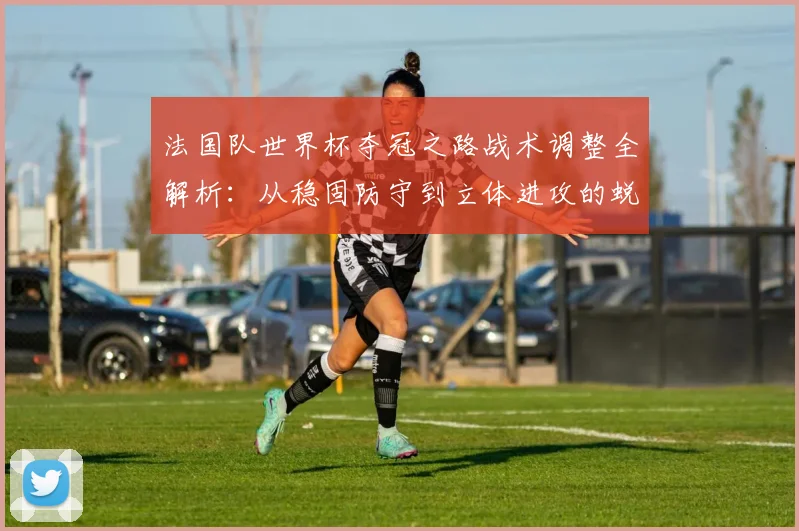 法国队世界杯夺冠之路战术调整全解析：从稳固防守到立体进攻的蜕变